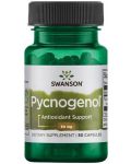 Pycnogenol, 50 mg, 50 капсули, Swanson - 1t