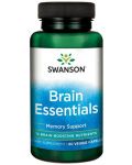 Brain Essentials, 60 растителни капсули, Swanson - 1t