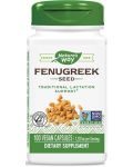 Fenugreek Seed, 610 mg, 100 капсули, Nature’s Way - 1t
