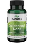Goldenseal Root, 125 mg, 100 капсули, Swanson - 1t