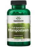 Full Spectrum Mangosteen, 500 mg, 100 капсули, Swanson - 1t