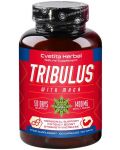Tribulus with Maca, 700 mg, 100 капсули, Cvetita Herbal - 1t