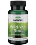 Wild Yam Root, 100 капсули, Swanson - 1t