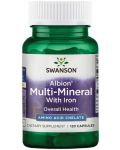 Albion Multi-Mineral with Iron, 120 капсули, Swanson - 1t