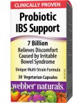Probiotic IBS Support, 30 капсули, Webber Naturals - 1t