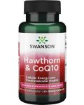 Hawthorn & CoQ10, 60 капсули, Swanson - 1t