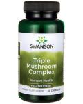 Full Spectrum Triple Mushroom Complex, 60 капсули, Swanson - 1t