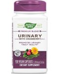 Urinary with Cranberry, 100 капсули, Nature's Way - 1t