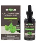 Chlorofresh Chlorophyll Drops, 59 ml, Nature's Way - 1t