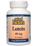 Lutein, 40 mg, 30 софтгел капсули, Natural Factors - 1t