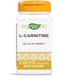L-Carnitine, 500 mg, 60 капсули, Nature's Way - 1t