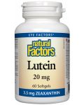 Lutein 20 mg, 60 софтгел капсули, Natural Factors - 1t
