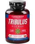 Tribulus with Maca, 700 mg, 50 капсули, Cvetita Herbal - 1t