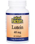 Lutein 40 mg, 60 софтгел капсули, Natural Factors - 1t