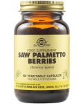 Saw Palmetto Berries, 100 капсули, Solgar - 1t