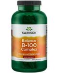 Balance B-100 Complex, 300 капсули, Swanson - 1t