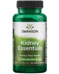 Kidney Essentials, 60 растителни капсули, Swanson - 1t