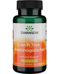 Larch Tree Arabinogalactan, 500 mg, 90 капсули, Swanson - 1t