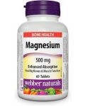 Magnesium, 500 mg, 60 таблетки, Webber Naturals - 1t