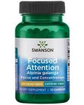 Focused Attention, 300 mg, 30 капсули, Swanson - 1t