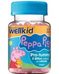 Wellkid Peppa Pig Pro-tummy, 30 желирани таблетки, Vitabiotics - 1t
