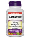 St. John’s Wort, 300 mg, 60 капсули, Webber Naturals - 1t