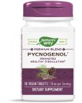 Pycnogenol, 50 mg, 30 таблетки, Nature's Way - 1t