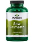 Saw Palmetto, 540 mg, 250 капсули, Swanson - 1t