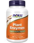 Plant Enzymes, 120 растителни капсули, Now - 1t