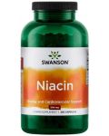 Niacin, 500 mg, 250 капсули, Swanson - 1t
