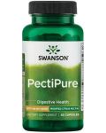 PectiPure, 600 mg, 60 капсули, Swanson - 1t