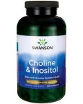 Choline & Inositol, 250 капсули, Swanson - 1t