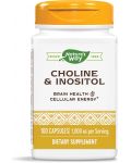 Choline & Inositol, 100 капсули, Nature's Way - 1t