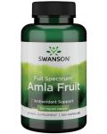 Full Spectrum Amla Fruit, 500 mg, 120 капсули, Swanson - 1t