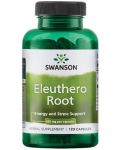 Eleuthero Root, 425 mg, 120 капсули, Swanson - 1t