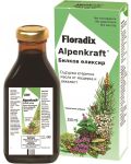 Alpenkraft, 250 ml, Floradix - 1t