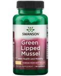 Green Lipped Mussel, 500 mg, 60 капсули, Swanson - 1t