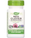 Red Clover, 400 mg, 100 капсули, Nature’s Way - 1t