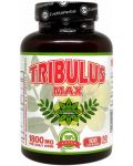 Tribulus Max, 900 mg, 100 капсули, Cvetita Herbal - 1t