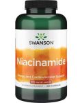 Niacinamide, 500 mg, 250 капсули, Swanson - 1t