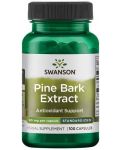 Pine Bark Extract, 50 mg, 100 капсули, Swanson - 1t