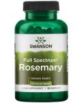 Full Spectrum Rosemary, 400 mg, 90 капсули, Swanson - 1t