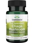 Full Spectrum Chaga Mushroom, 60 капсули, Swanson - 1t