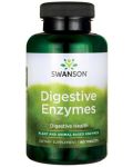 Digestive Enzymes, 180 таблетки, Swanson - 1t