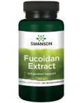 Fucoidan Extract, 500 mg, 60 капсули, Swanson - 1t