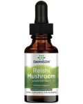 Reishi Mushroom Liquid Extract, 29.6 ml, Swanson - 1t