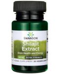 Shilajit Extract, 100 mg, 30 капсули, Swanson - 1t