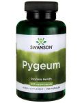 Pygeum, 125 mg, 100 капсули, Swanson - 1t