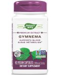 Gymnema, 500 mg, 60 капсули, Nature's Way - 1t