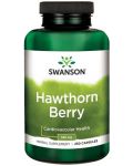 Hawthorn Berries, 565 mg, 250 капсули, Swanson - 1t